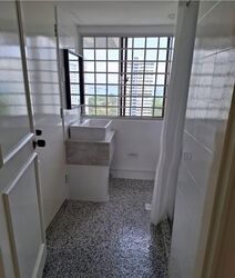 Hua Xin Court (D15), Condominium #553886271